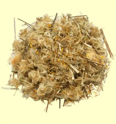 PLANTA MEDICINAL ARNICA