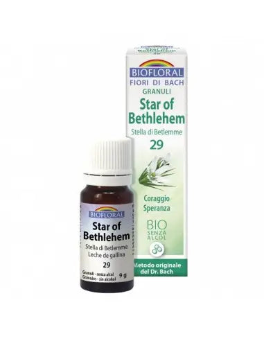 COMPLEJO ESTRELLA DE BELEN BIOFLORAL