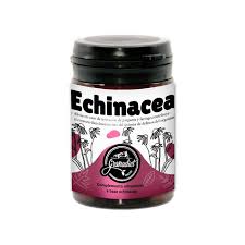 ECHINACEA