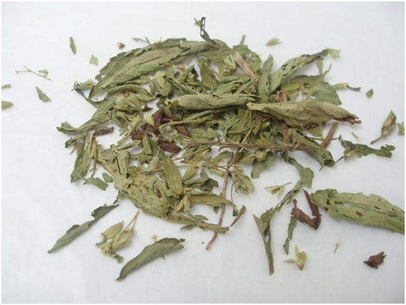 PLATA MEDICINAL STEVIA