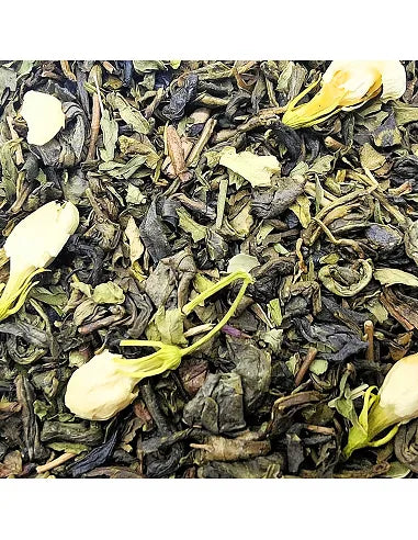 TÉ VERDE JAZMÍN