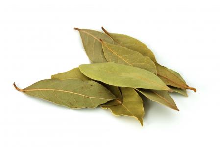 PLANTA MEDICINAL LAUREL