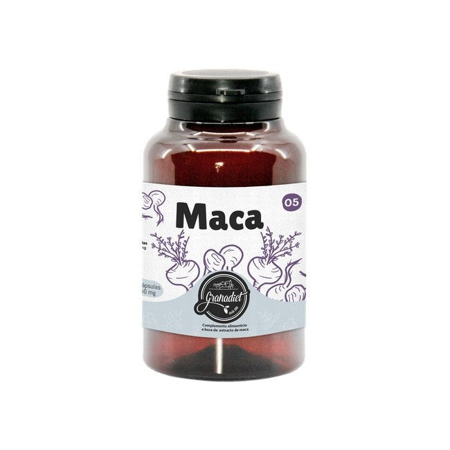 MACA